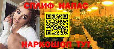 дмт Гудермес