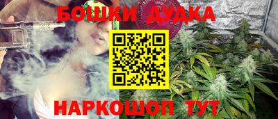 стаф Вязьма