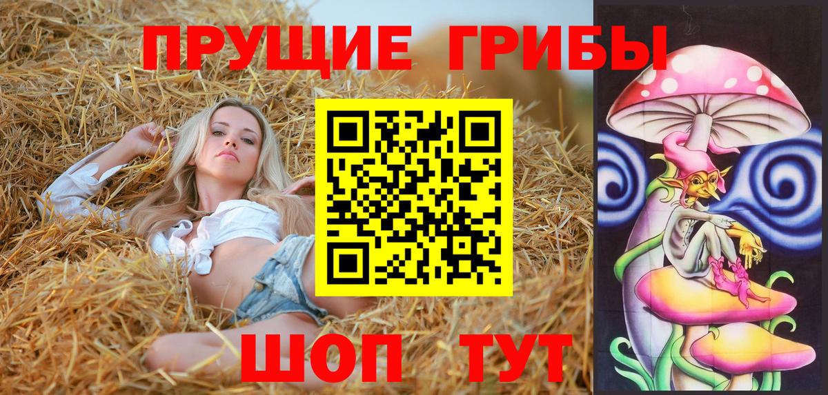 Псилоцибиновые грибы Psilocybe Баксан