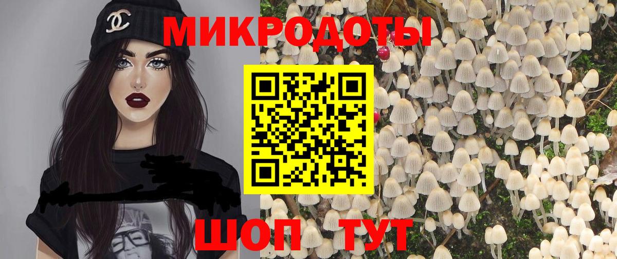 Галлюциногенные грибы Cubensis  Вход с VPN  Баксан 